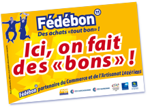 fedebon-cheques-home